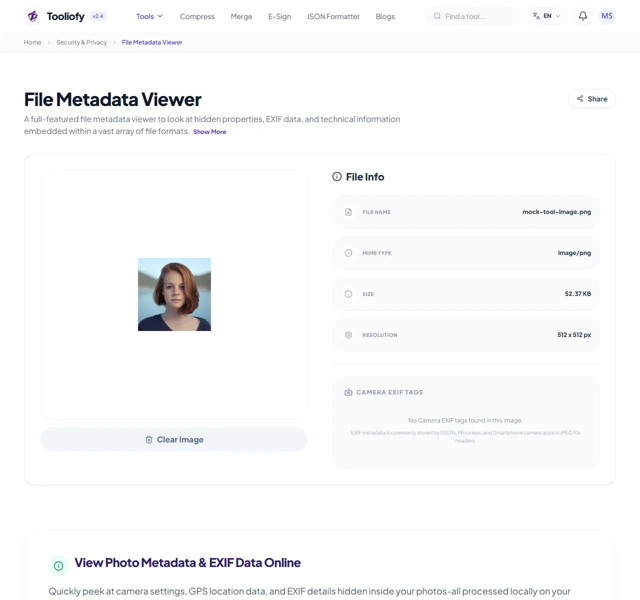 File Metadata Viewer - Download File