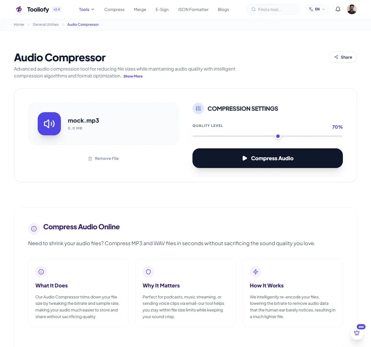 Audio Compressor - Processing