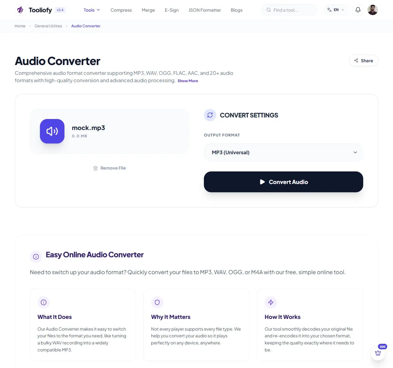 Audio Converter - Processing