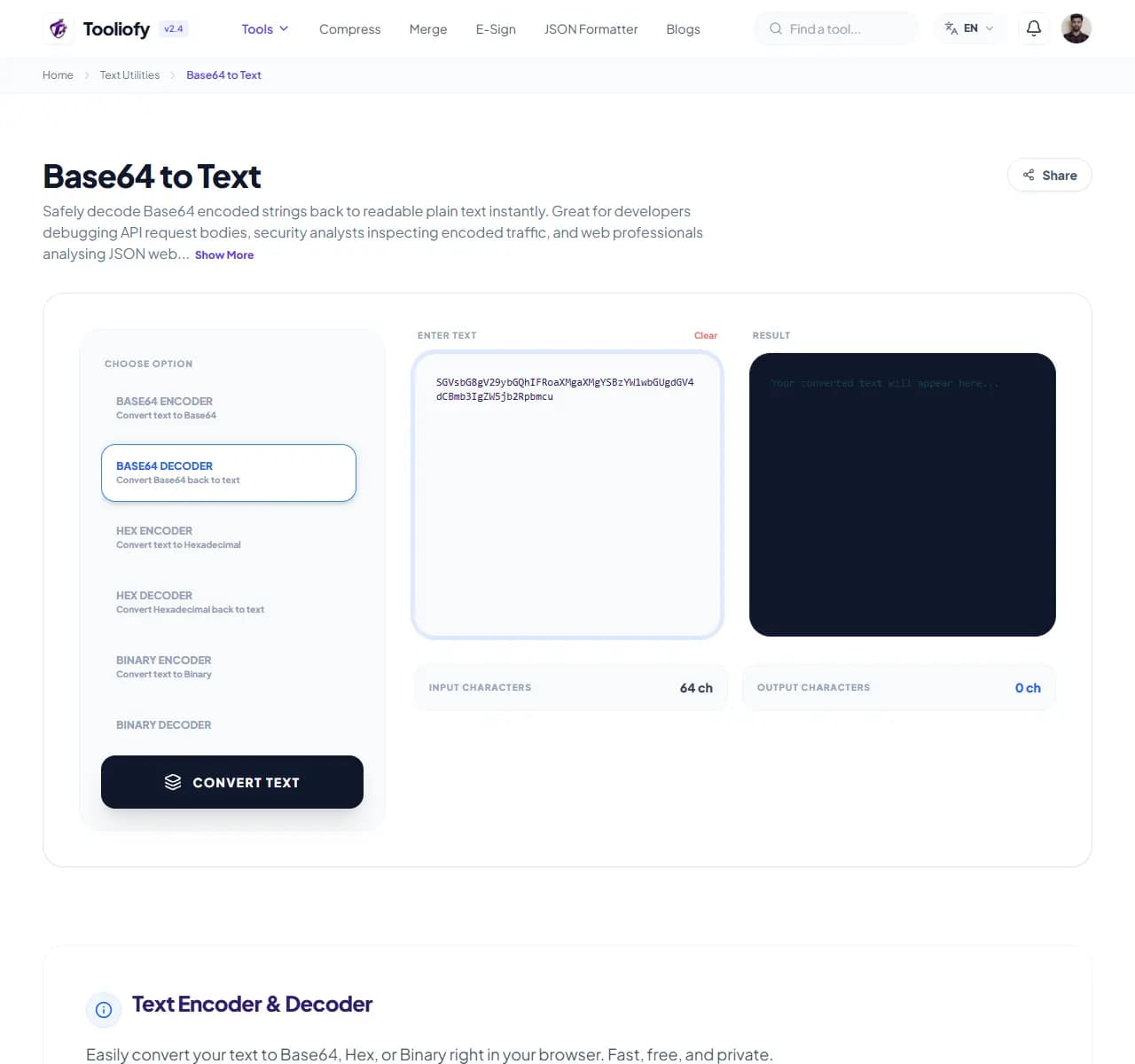 Base64 to Text - Processing