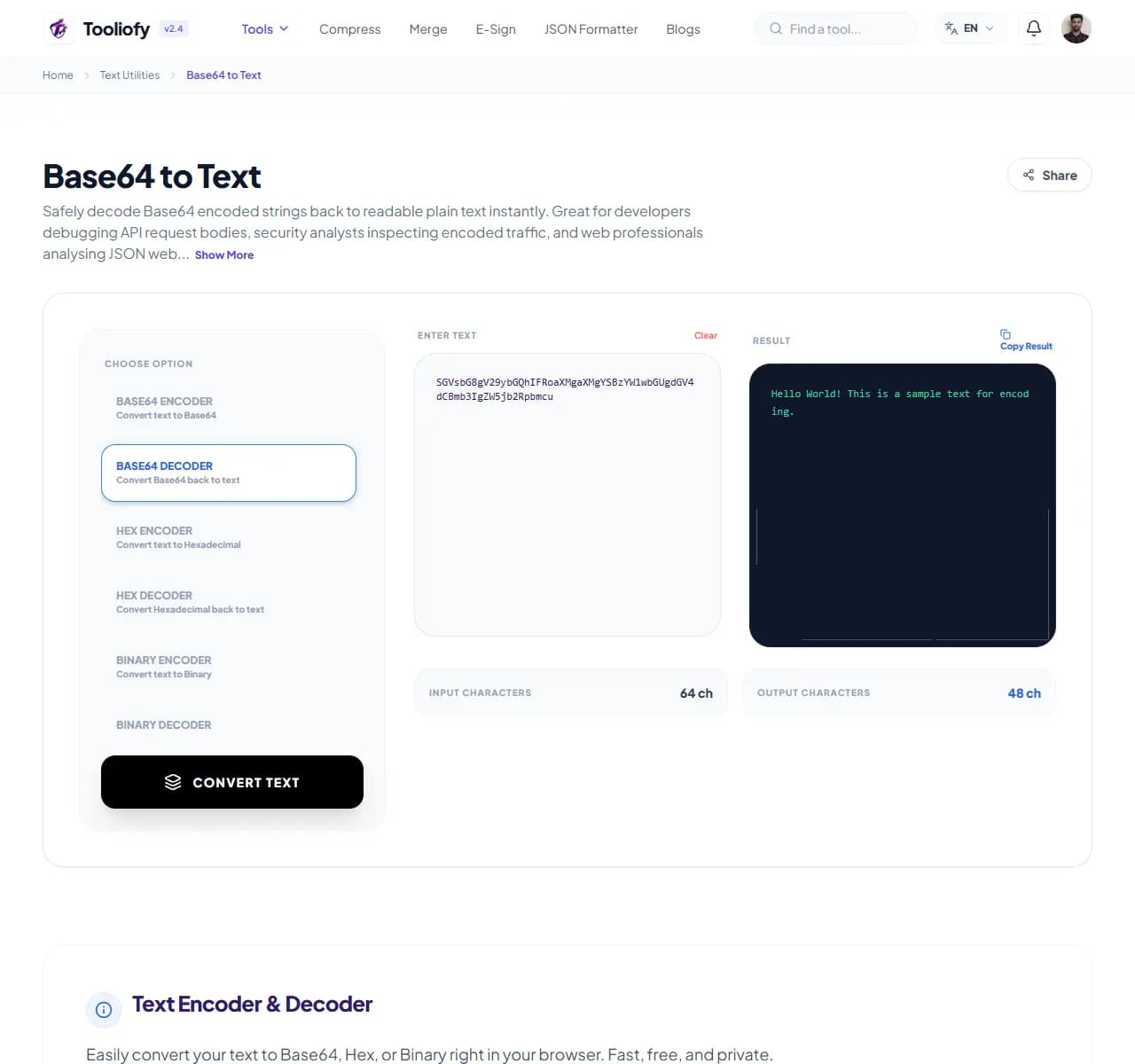 Base64 to Text - Download File