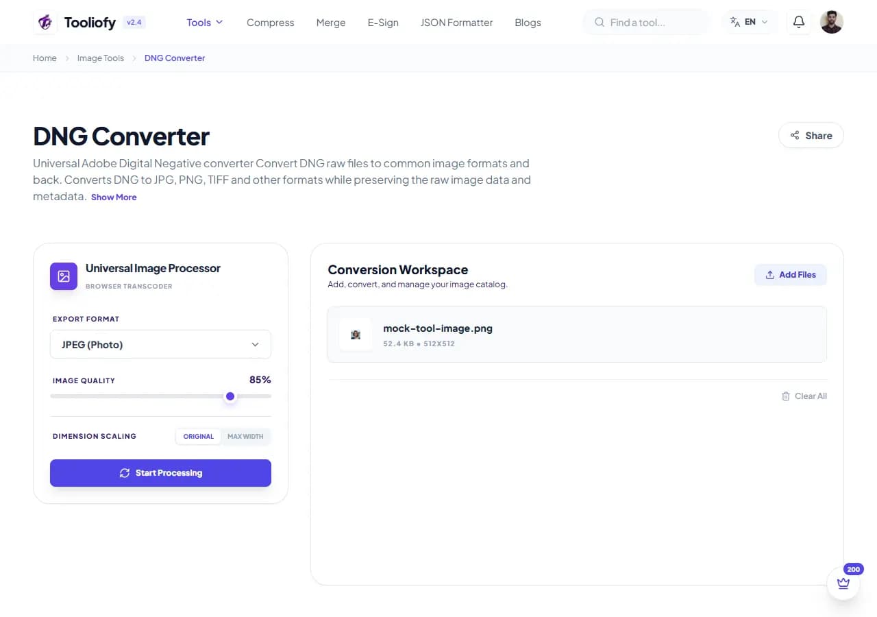 DNG Converter - Processing