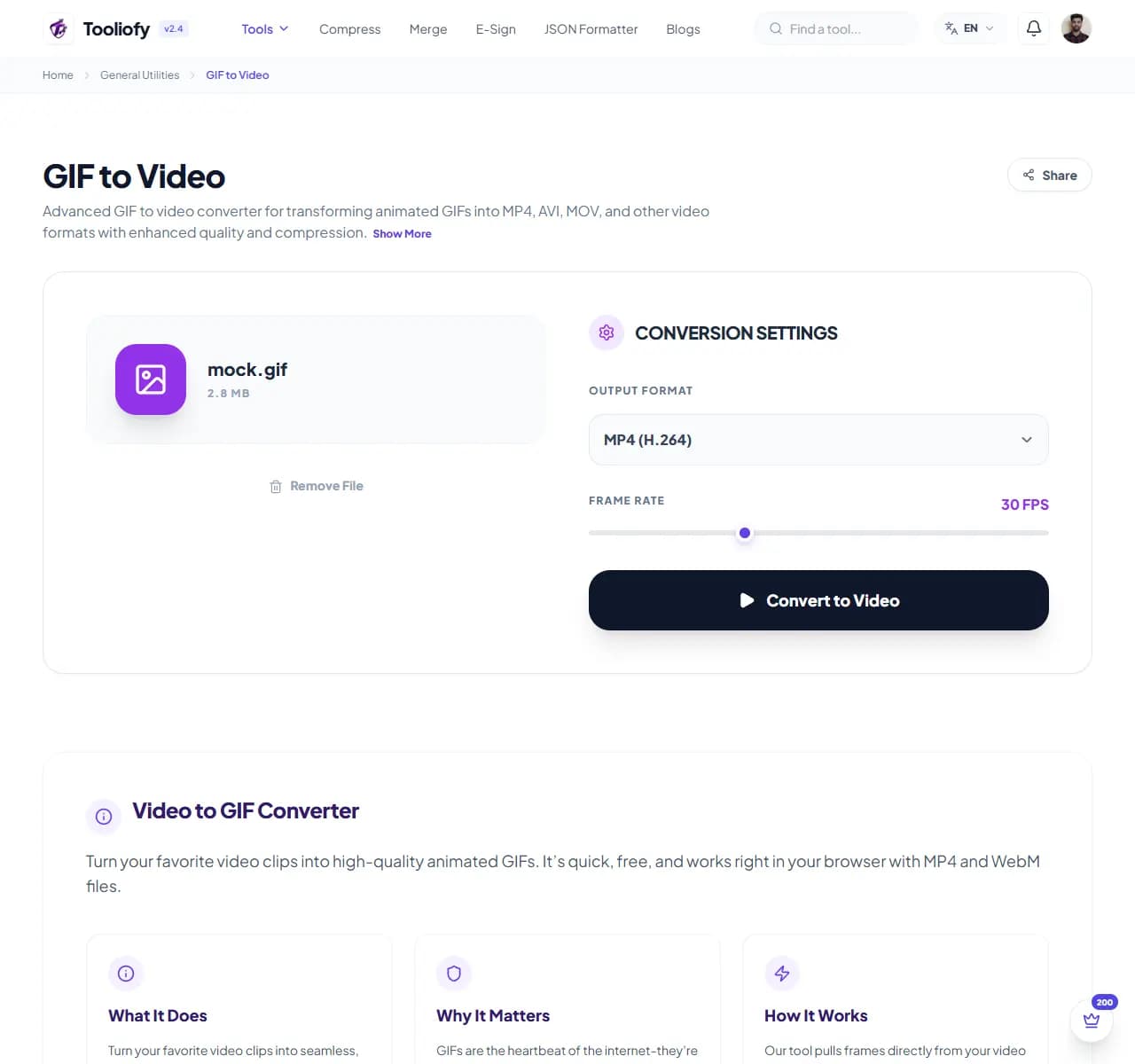 GIF to Video - Processing