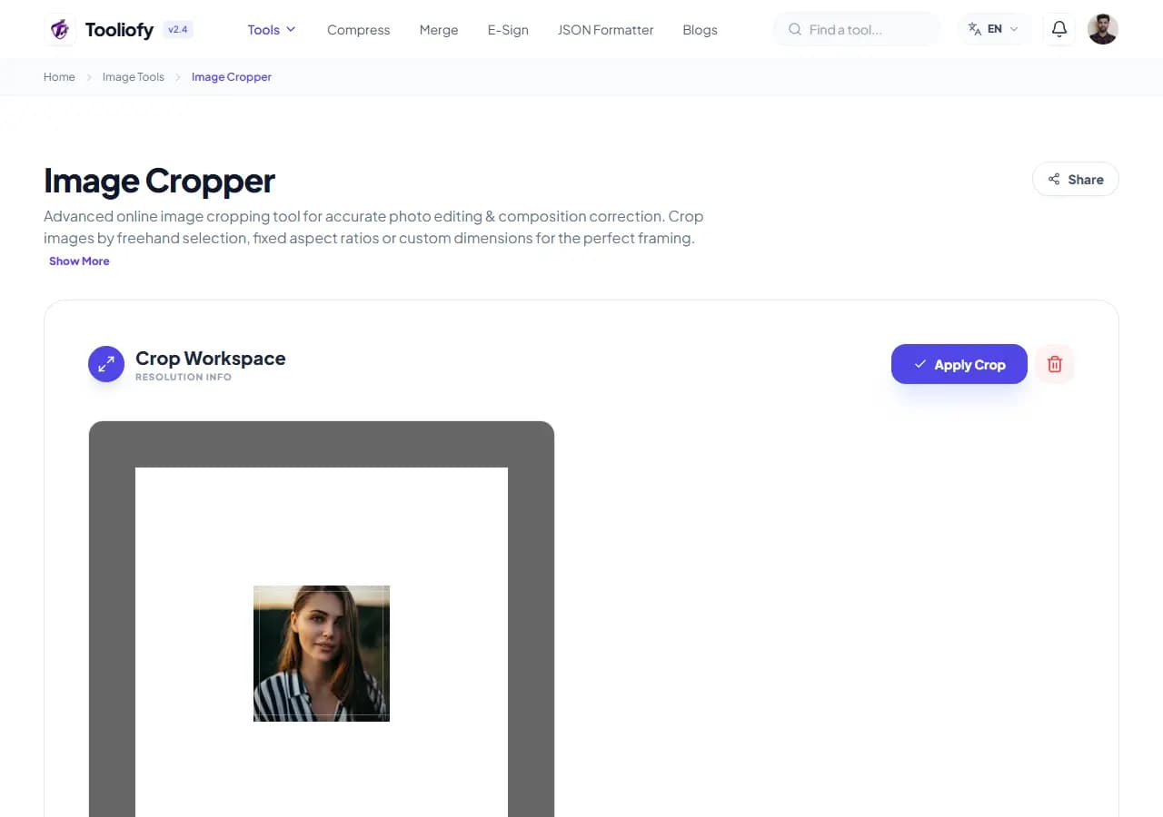 Image Cropper - Processing
