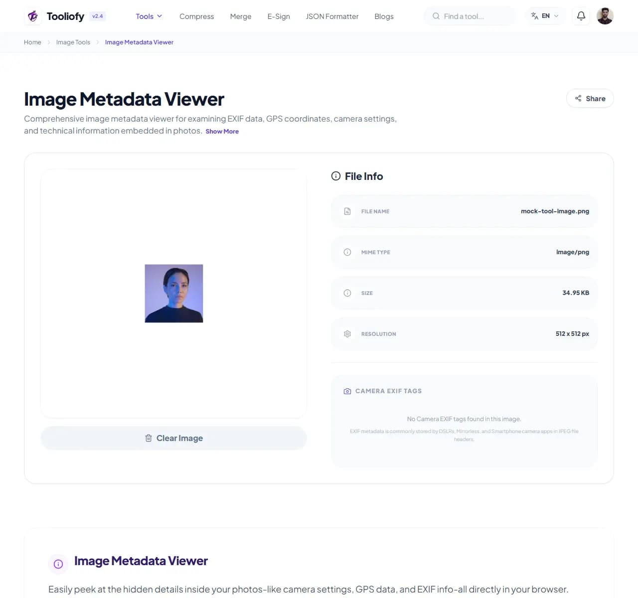 Image Metadata Viewer - Download File