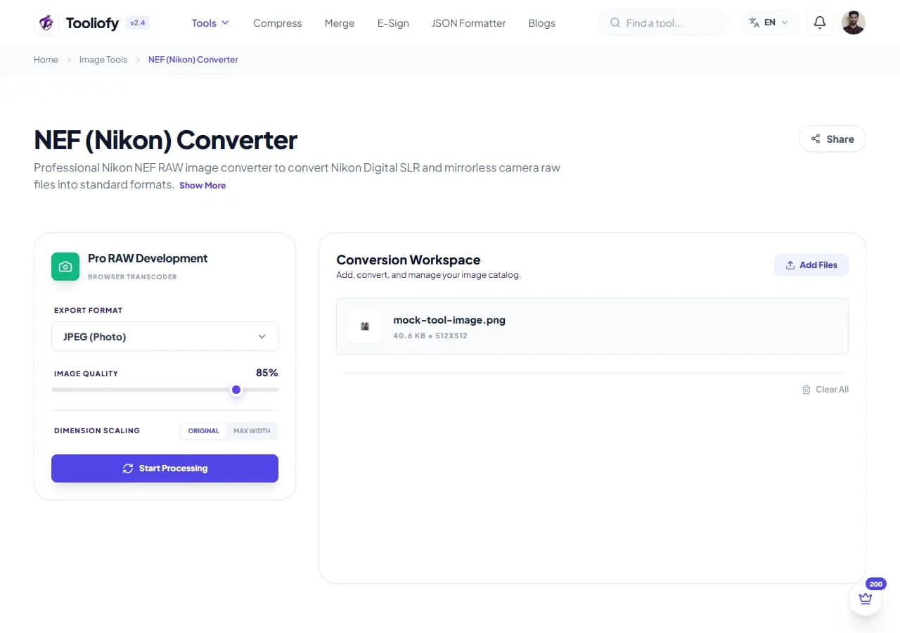 NEF (Nikon) Converter - Processing