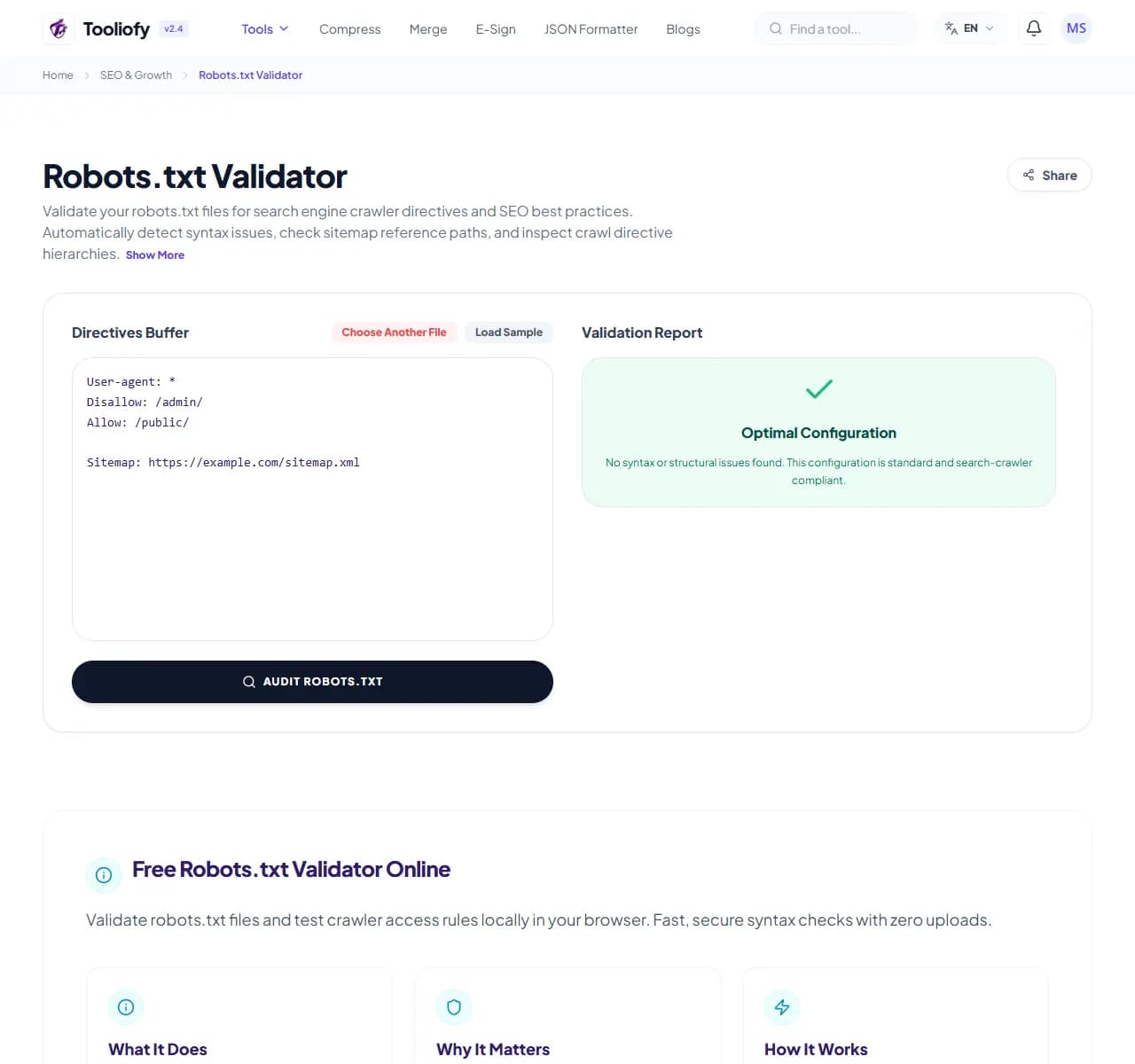 Robots.txt Validator - Processing