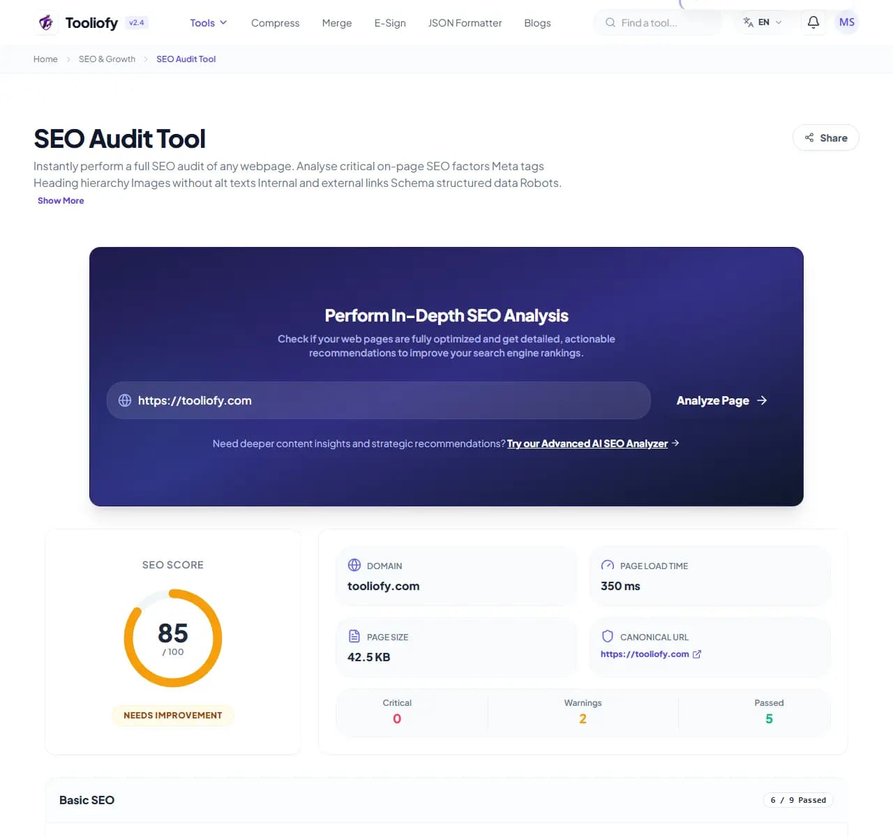 SEO Audit Tool - Download File