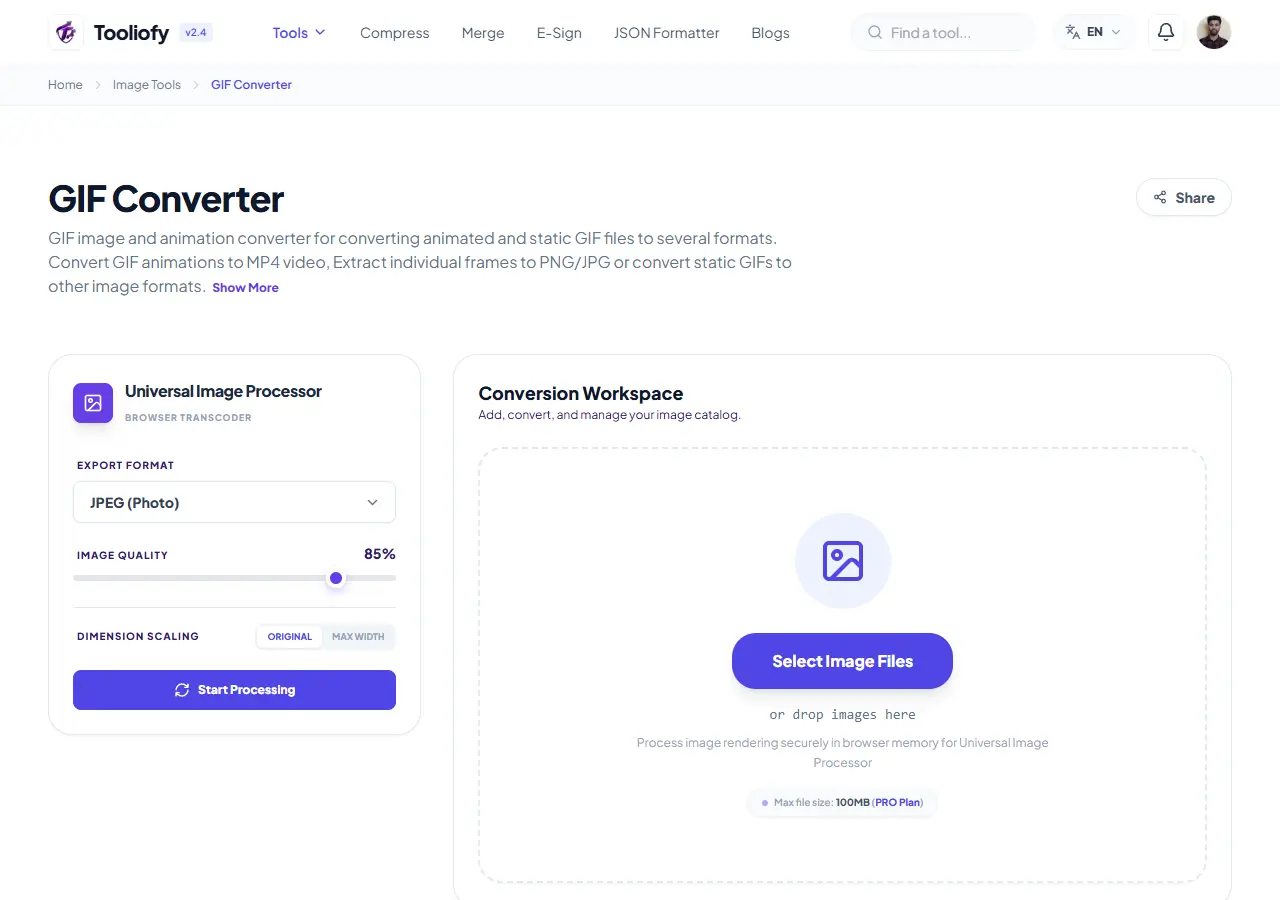 GIF Converter preview