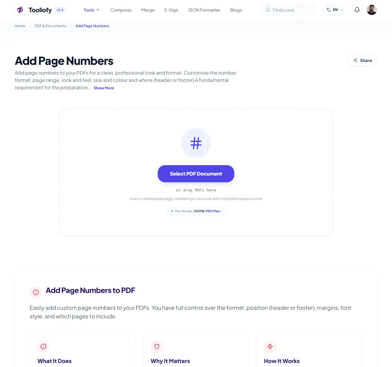 Add Page Numbers preview