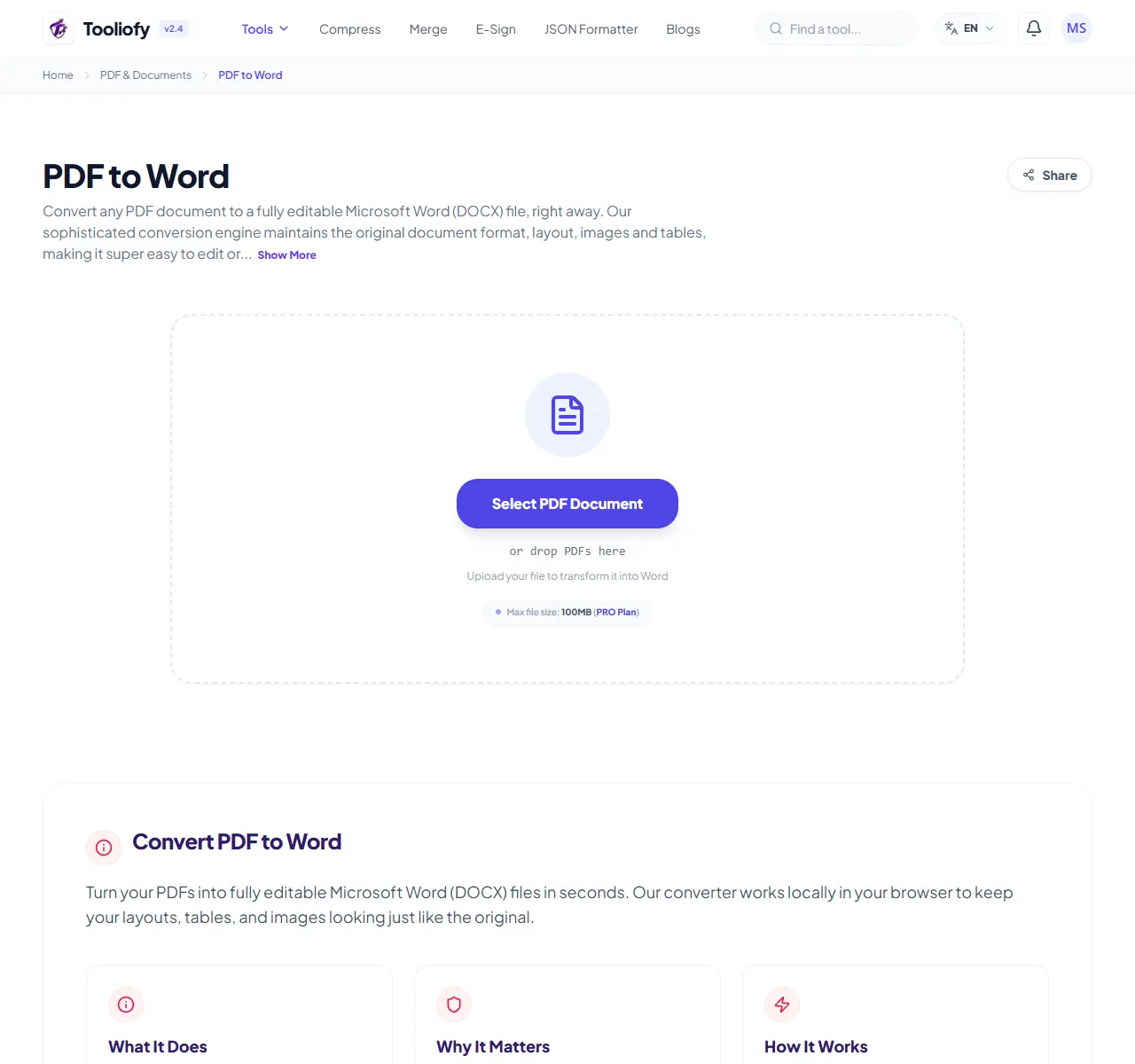 PDF to Word preview